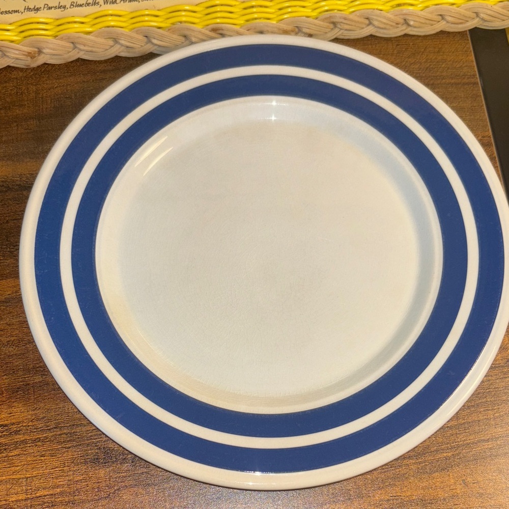 Classic Blue Striped Dinner Plate